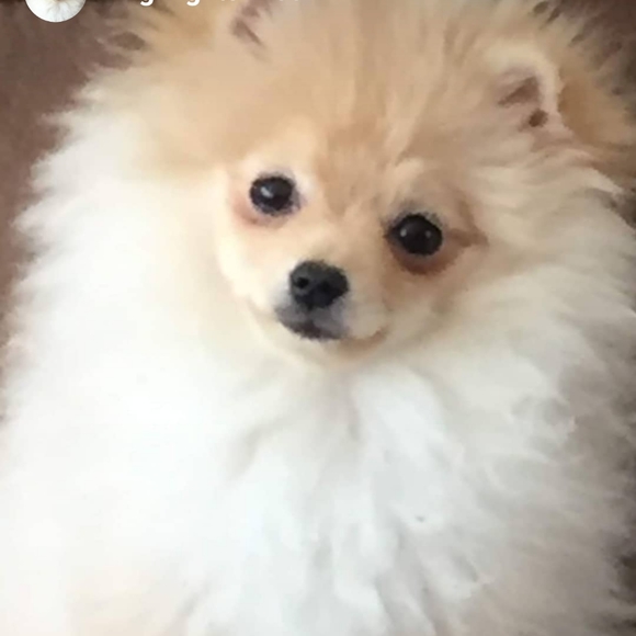 Meet your Posher, Heather - Picture 1 of 2